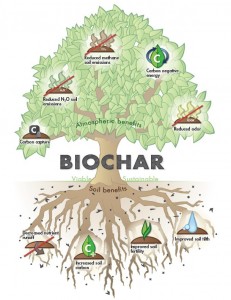 Biochar